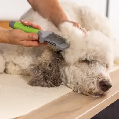 WAHL COAT CARE suka