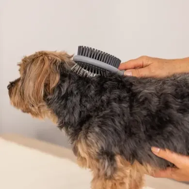 WAHL COAT CARE расческа