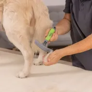 WAHL SHEDDING RAKE ķemme