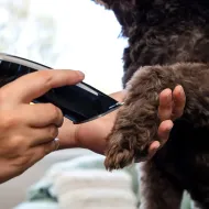 WAHL SMART CLIP clipper